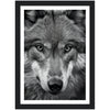 Animal Photography Prints: Black and White Wildlife for Every Room