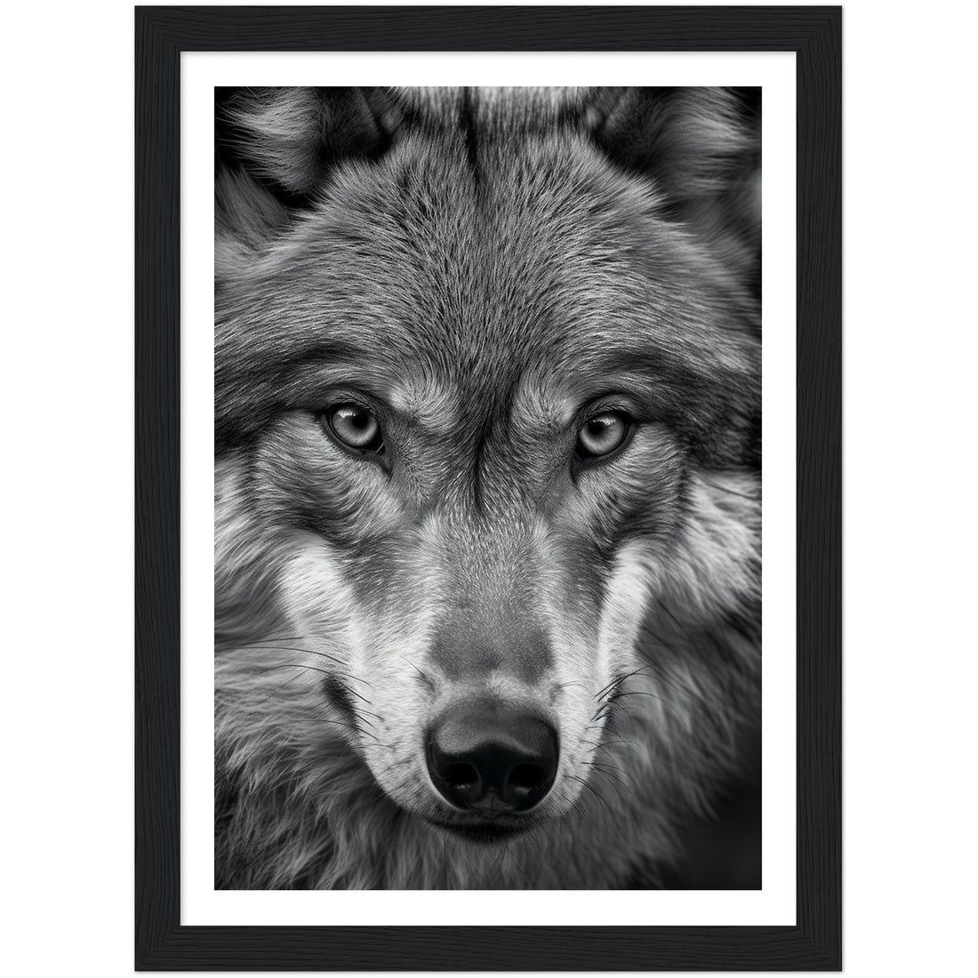 Animal Photography Prints: Black and White Wildlife for Every Room