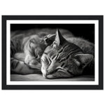 Load image into Gallery viewer, Tranquil Duo - Sleeping Cats Photograph Wall Art Print