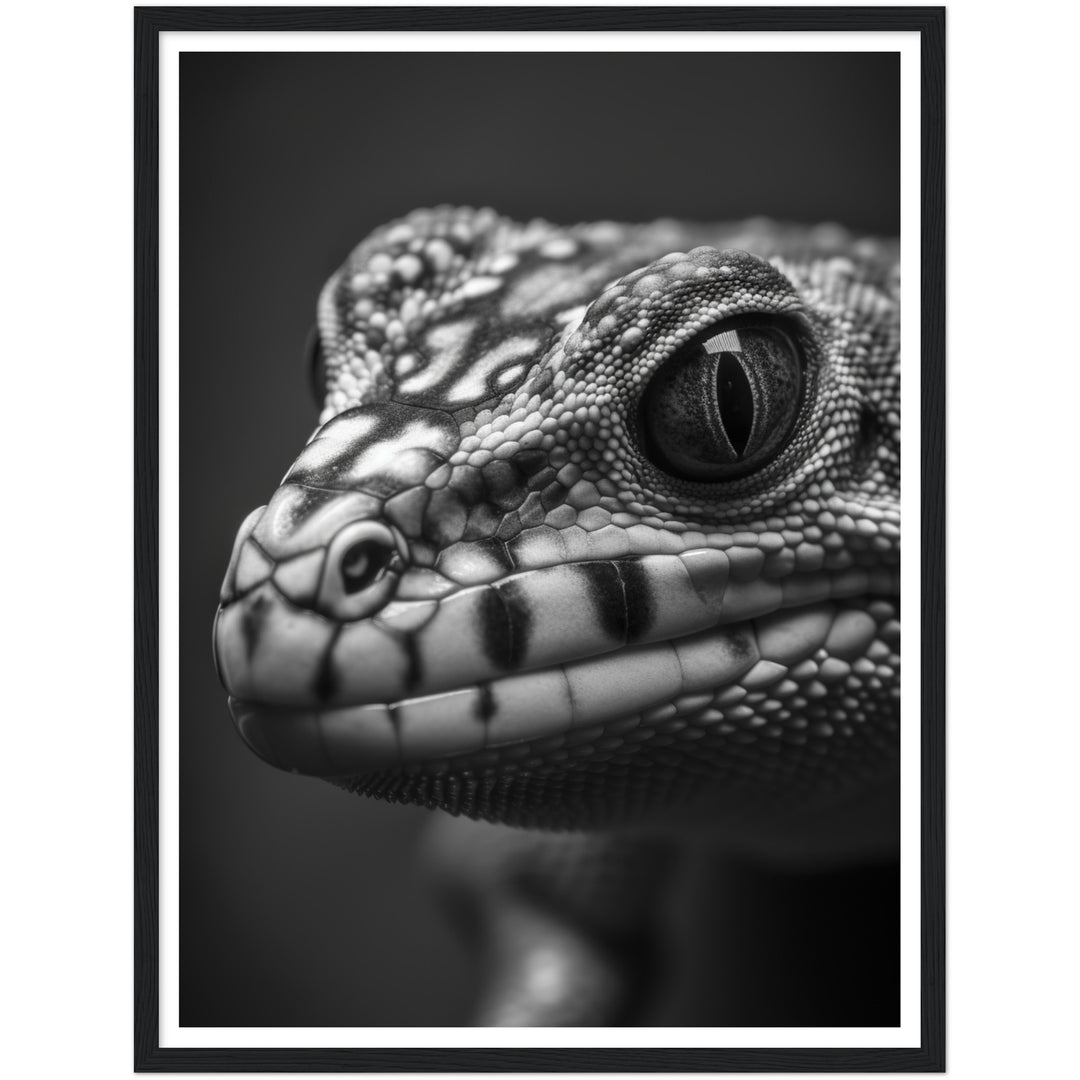 Gecko Gaze Photograph Wall Art Print