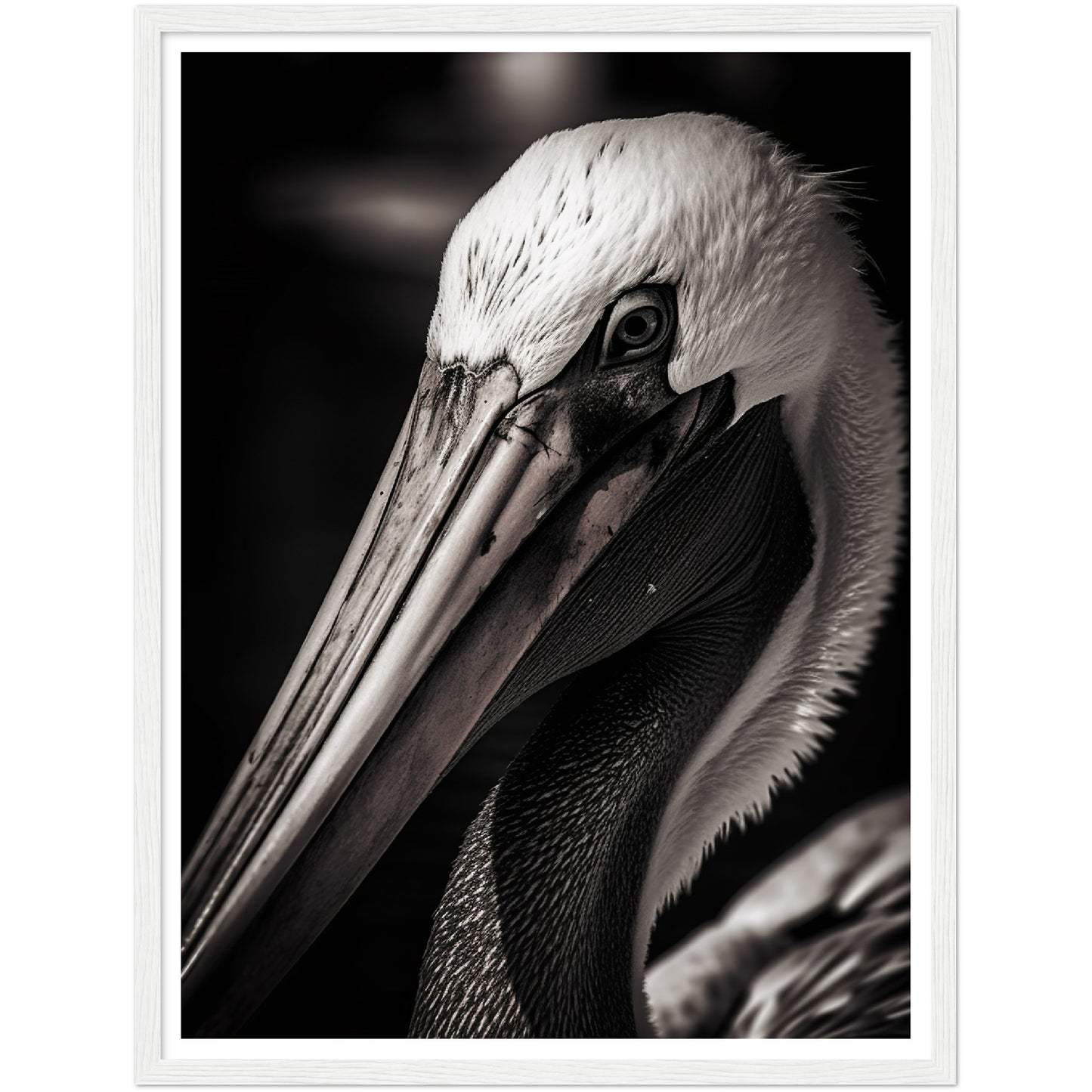 Close-up Pelican Photograph Wall Art Print