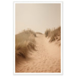 Load image into Gallery viewer, Hazy Beach Dune Pathway Photograph Wall Art Print
