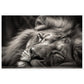 Regal Rest - Serene Sleeping Lion Photography