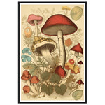 Load image into Gallery viewer, Whimsical Fungi - Vintage Botanical Wall Art Print