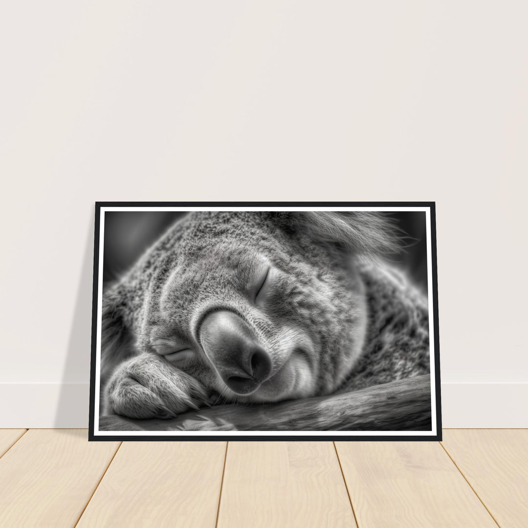 Close-Up of Sleeping Koala Photograph Wall Art Print