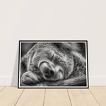 Load image into Gallery viewer, Close-Up of Sleeping Koala Photograph Wall Art Print