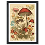 Load image into Gallery viewer, Whimsical Fungi - Vintage Botanical Wall Art Print