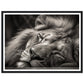 Regal Rest - Serene Sleeping Lion Photography