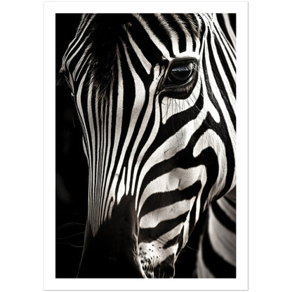 Close-up Zebra Photograph Wall Art Print