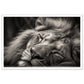 Regal Rest - Serene Sleeping Lion Photography