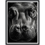 Load image into Gallery viewer, Close-Up Hippo Photograph Wall Art Print
