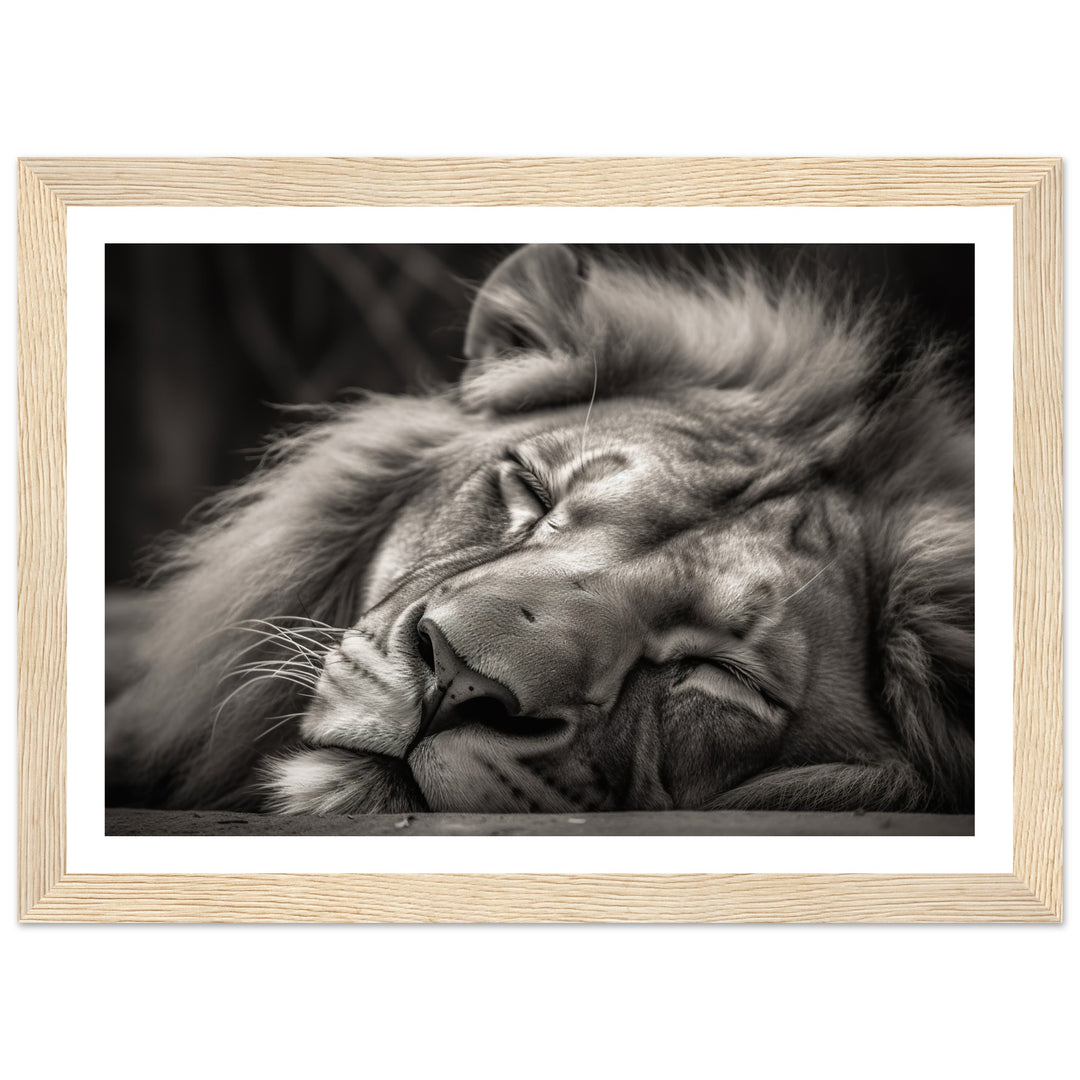 Regal Rest - Serene Sleeping Lion