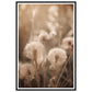 Hazy Dandelion Dreams Close-Up Photograph Wall Art Print