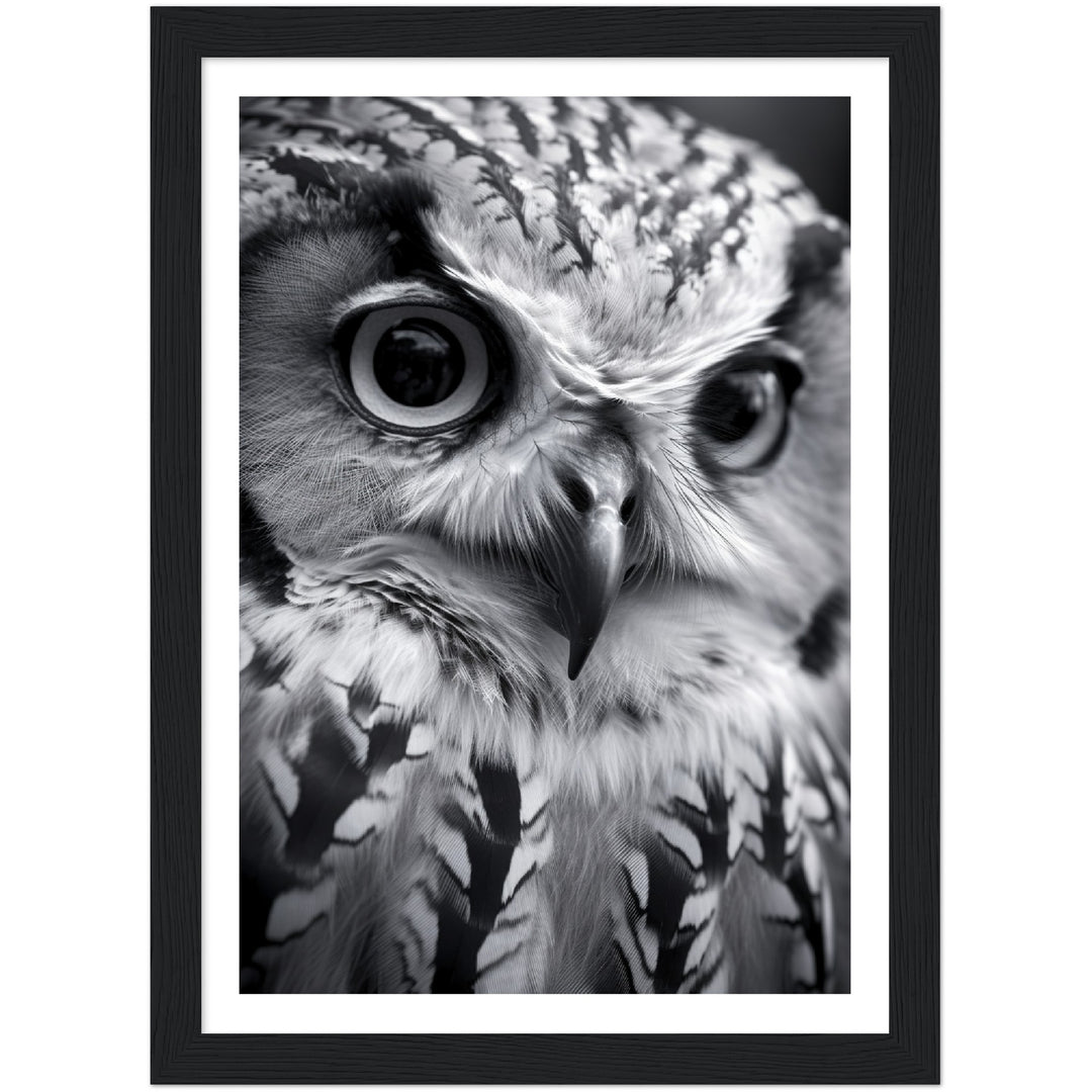 Intense Gaze: Owl Photograph Wall Art Print