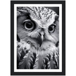 Load image into Gallery viewer, Intense Gaze: Owl Photograph Wall Art Print
