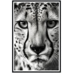 Load image into Gallery viewer, Cheetah&#39;s Gaze Photograph Wall Art Print
