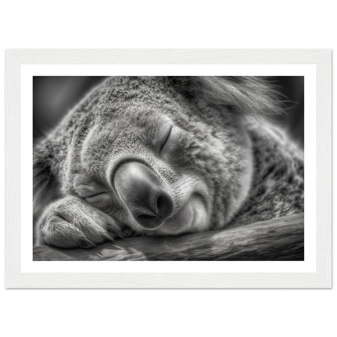 Close-Up of Sleeping Koala Photograph Wall Art Print