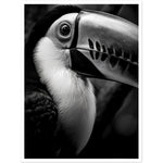 Load image into Gallery viewer, Toucan&#39;s Gaze Photograph Wall Art Print