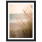 Hazy Beach Grass Close-Up Photograph Wall Art Print