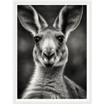 Load image into Gallery viewer, Kangaroo Close-Up Photograph Wall Art Print
