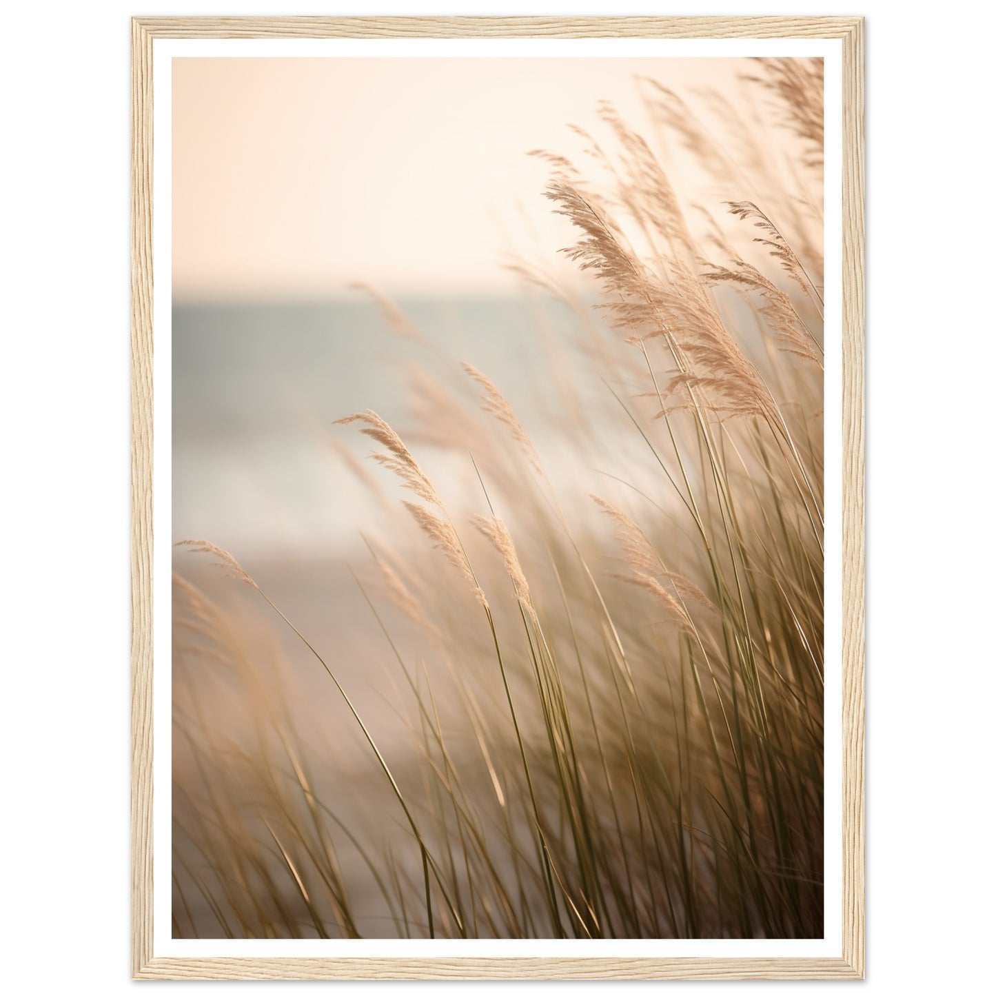 Hazy Beach Grass Close-Up Photograph Wall Art Print