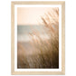 Hazy Beach Grass Close-Up Photograph Wall Art Print