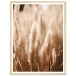 Load image into Gallery viewer, Hazy Pampas Close-Up Photograph Wall Art Print