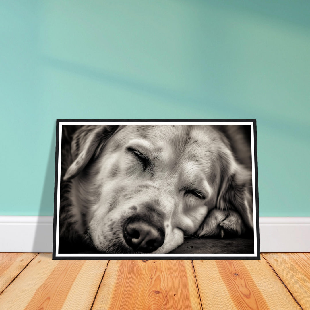 Peaceful Slumber Close-Up of Sleeping Dog Photograph Wall Art Print