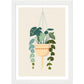 Macrame Trendy Plant Pot Wall Art Print