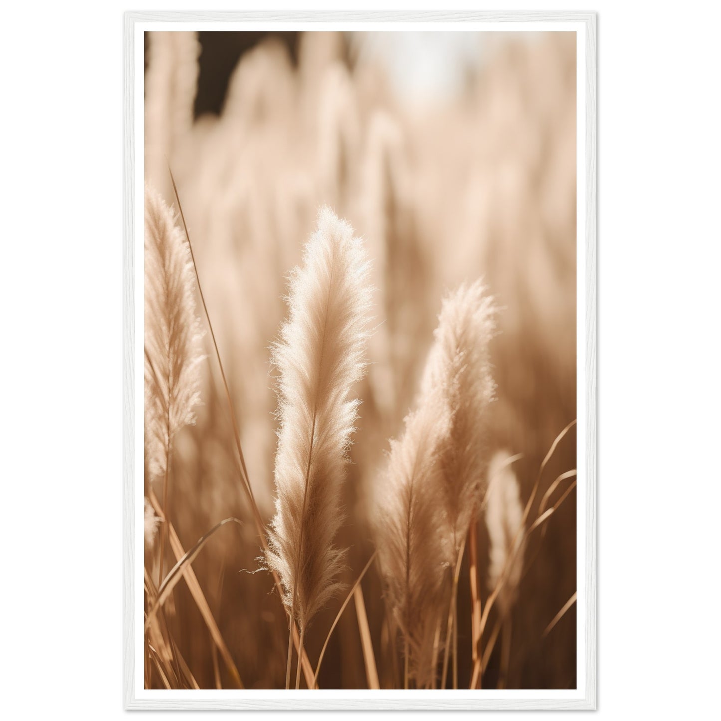 Hazy Pampas Close-Up Photograph Wall Art Print