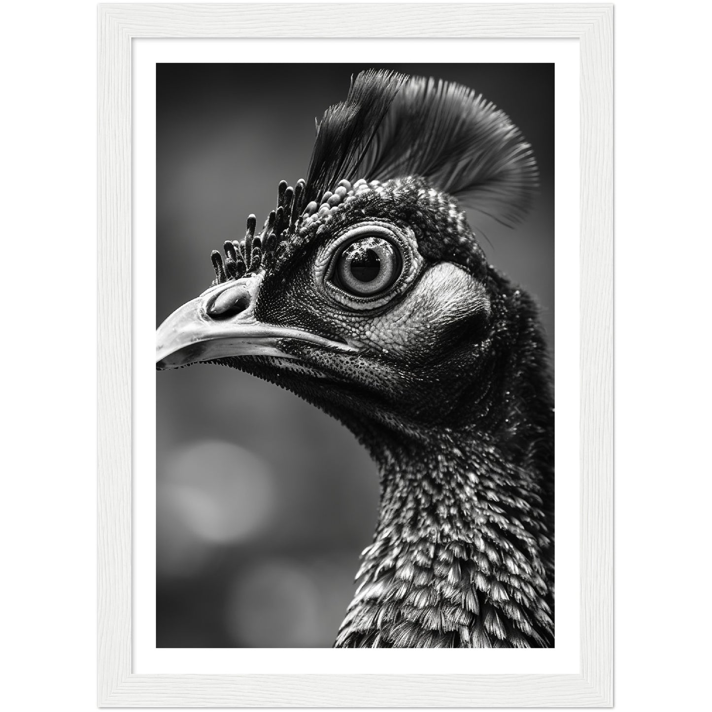 Peacock Perfection Photograph Wall Art Print