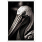 Close-up Pelican Photograph Wall Art Print