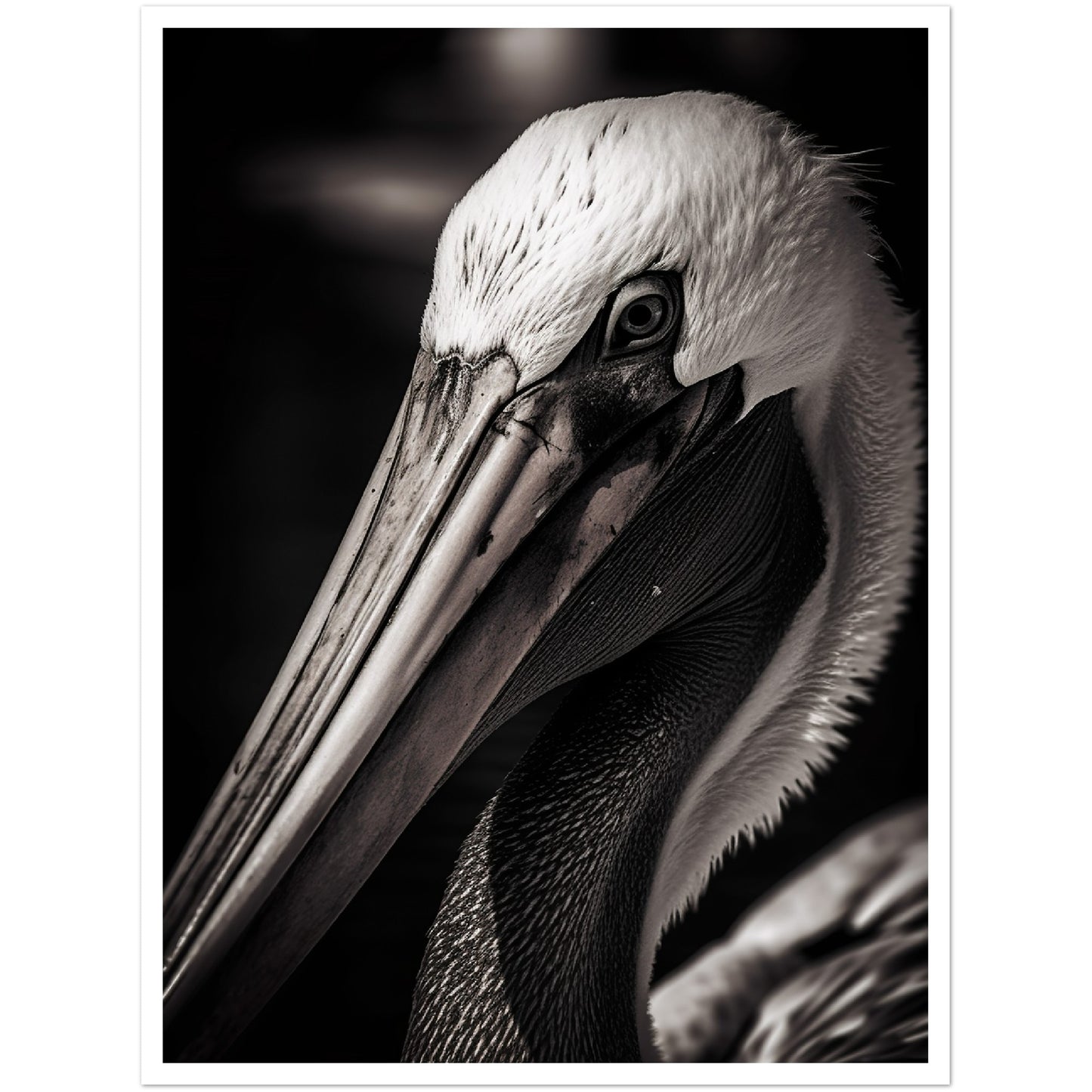 Close-up Pelican Photograph Wall Art Print