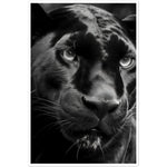Load image into Gallery viewer, Panther&#39;s Gaze Photograph Wall Art Print