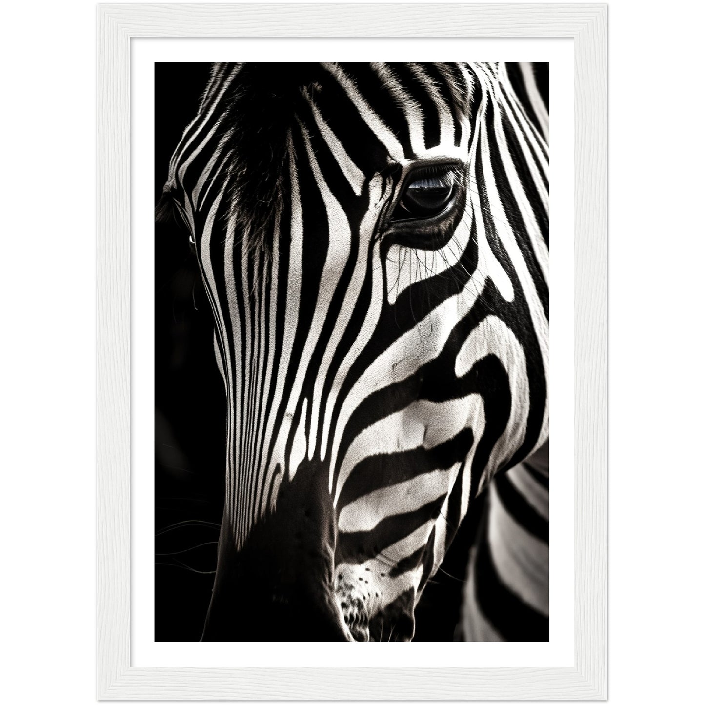 Close-up Zebra Photograph Wall Art Print