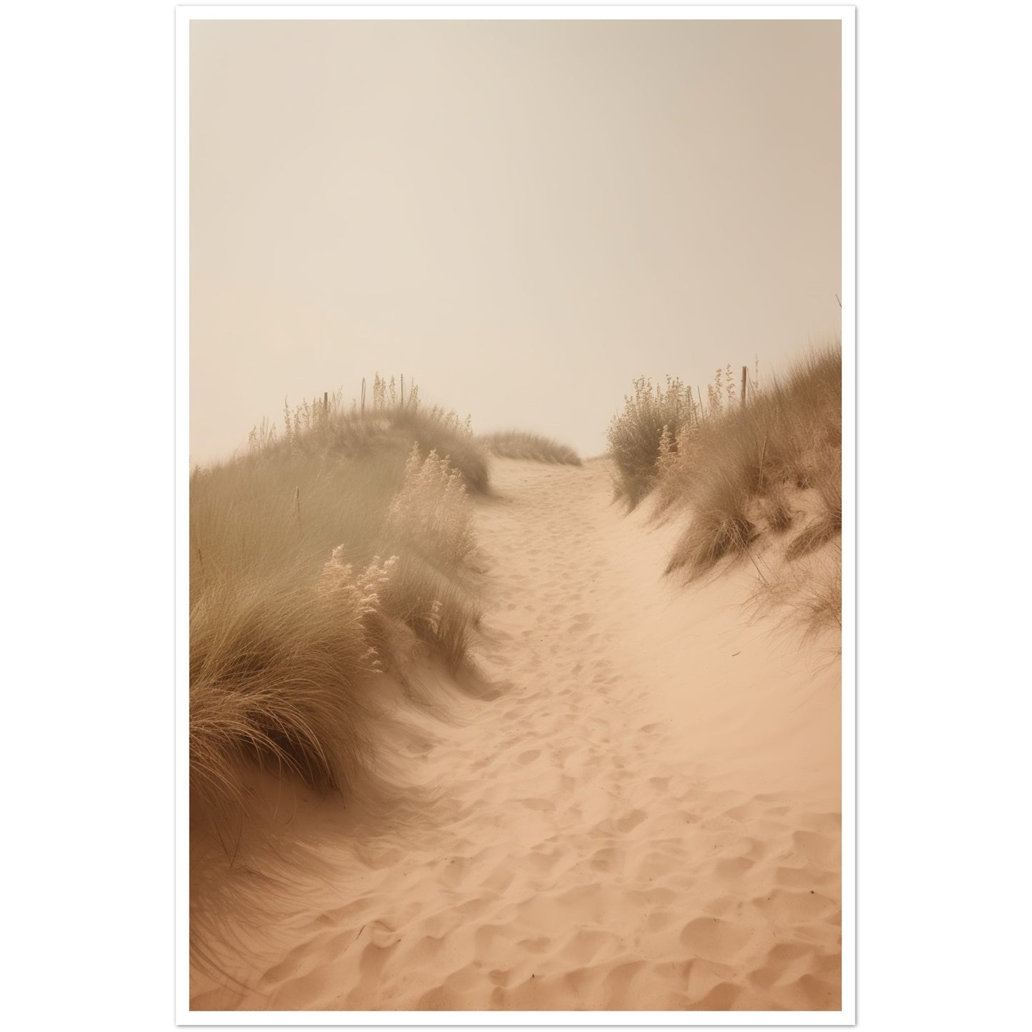 Hazy Beach Dune Pathway Photograph Wall Art Print