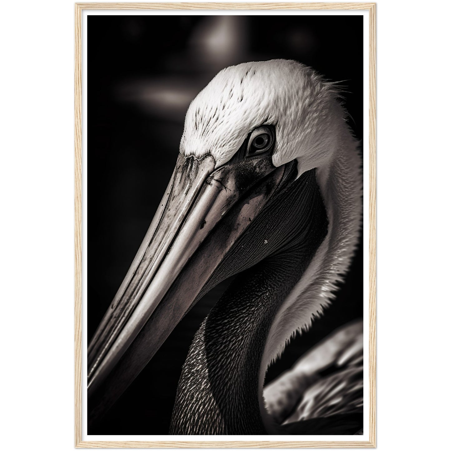 Close-up Pelican Photograph Wall Art Print