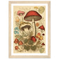 Whimsical Fungi - Vintage Botanical Wall Art Print