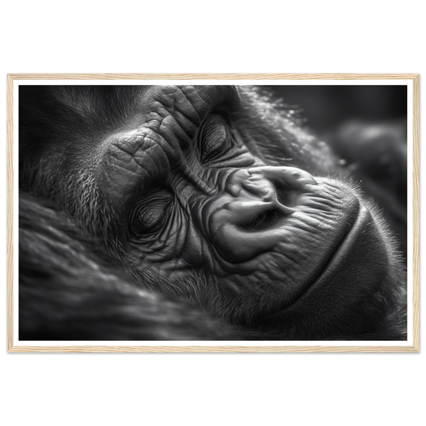 Close-Up of Sleeping Gorilla Photograph Wall Art Print