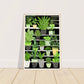 Vibrant Green House Plants in Monochrome Pots Wall Art Print