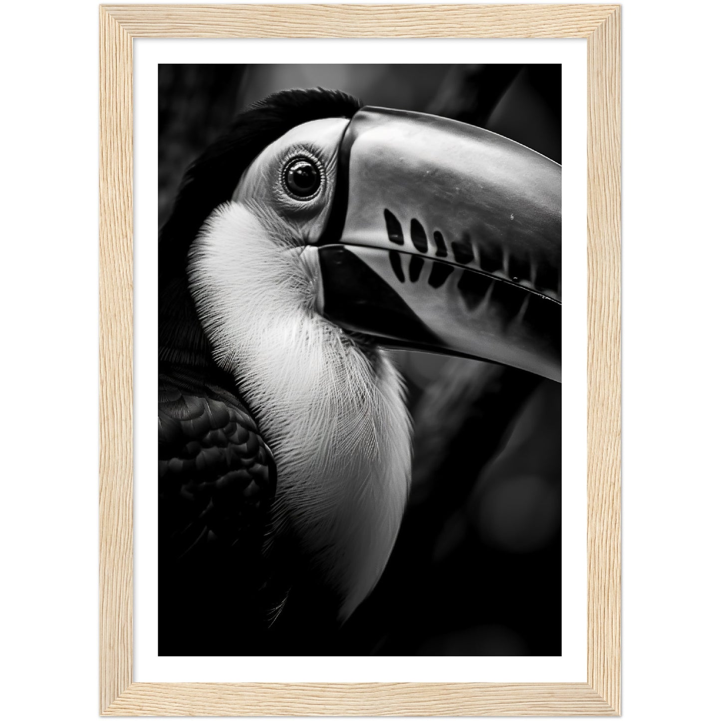 Toucan's Gaze Photograph Wall Art Print