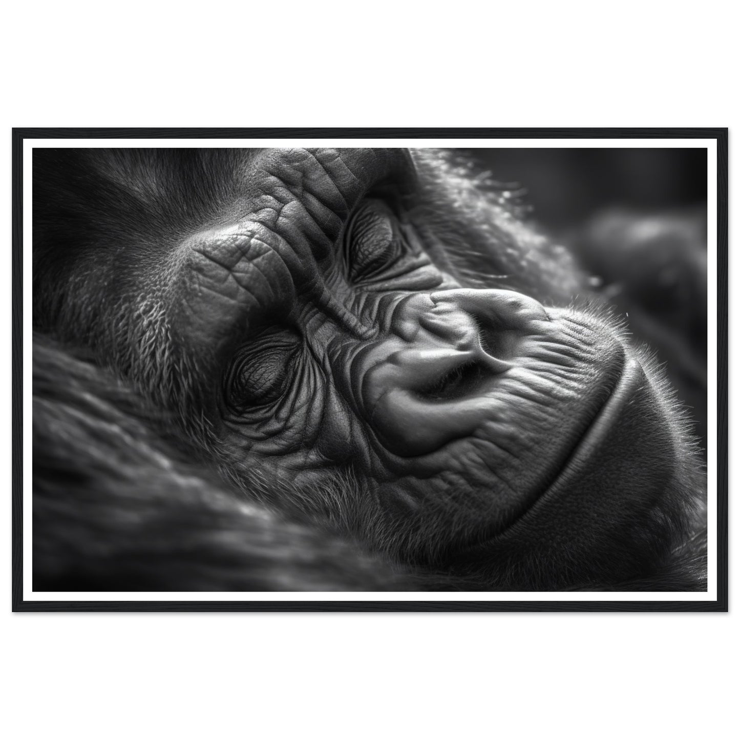 Close-Up of Sleeping Gorilla Photograph Wall Art Print