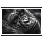 Load image into Gallery viewer, Close-Up of Sleeping Gorilla Photograph Wall Art Print