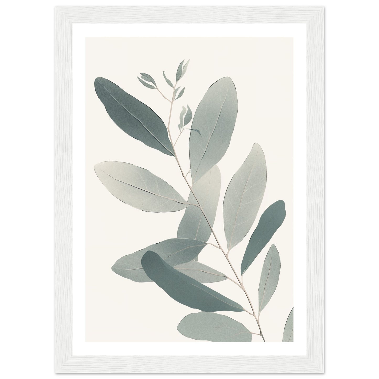 Soft Colored Eucalyptus Illustration