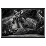 Load image into Gallery viewer, Serene Sleeping Panther