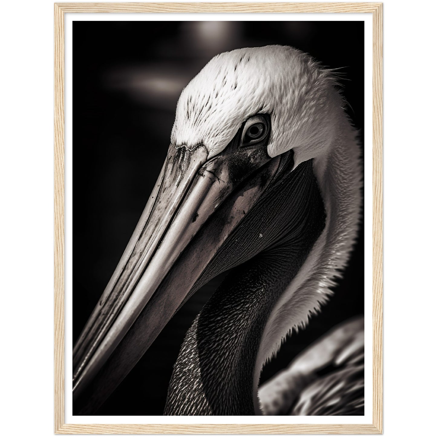 Close-up Pelican Photograph Wall Art Print