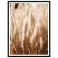 Hazy Pampas Close-Up Photograph Wall Art Print