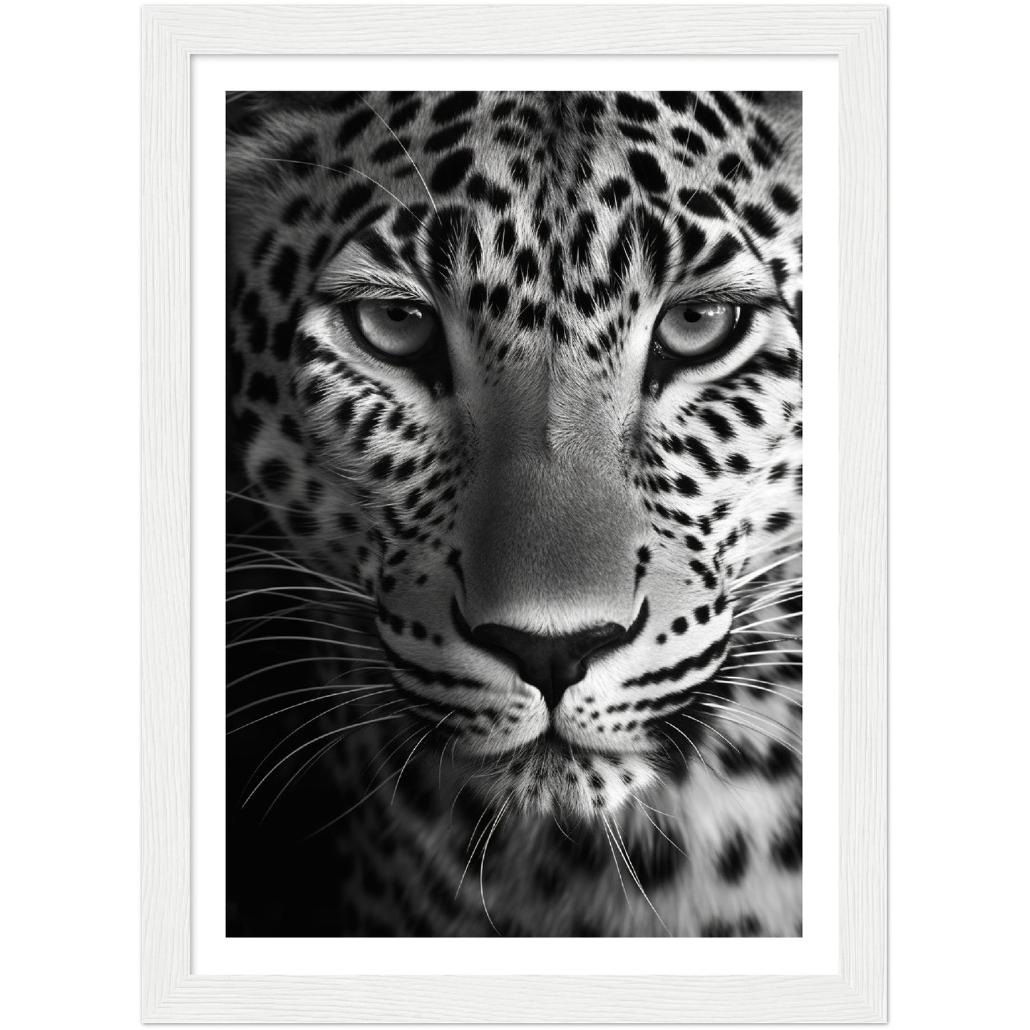 Leopard's Gaze Photograph Wall Art Print