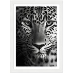 Load image into Gallery viewer, Leopard&#39;s Gaze Photograph Wall Art Print
