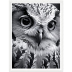 Load image into Gallery viewer, Intense Gaze: Owl Photograph Wall Art Print
